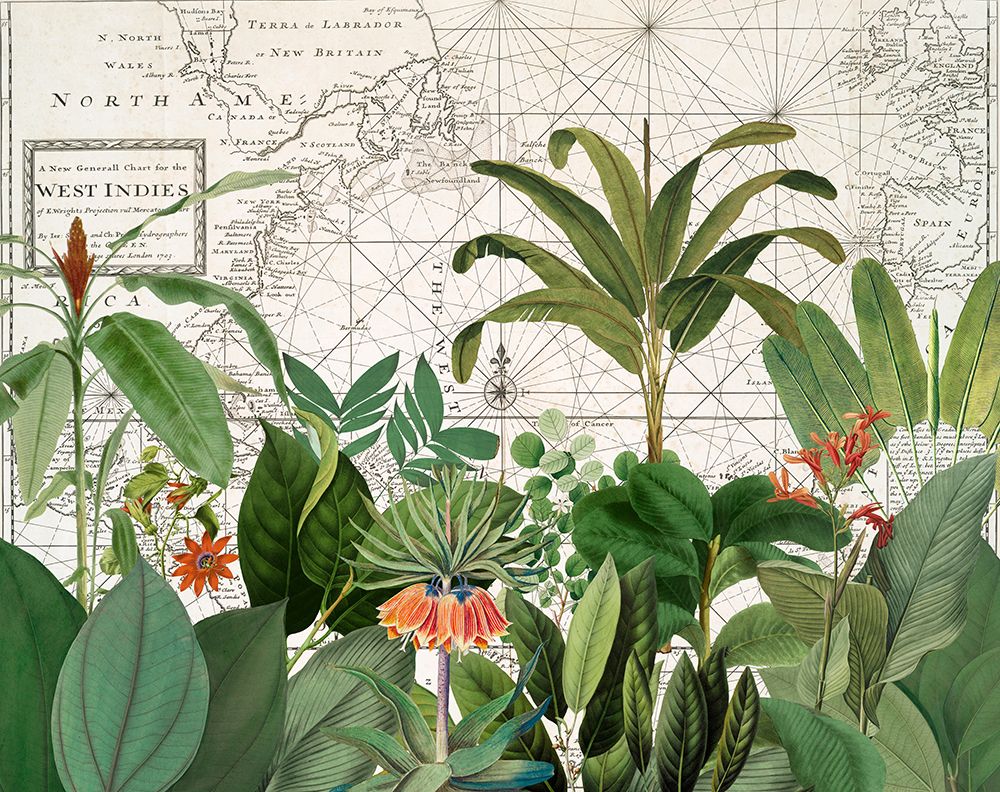 Exotic Wildlife 005 art print by Andrea Haase for $57.95 CAD