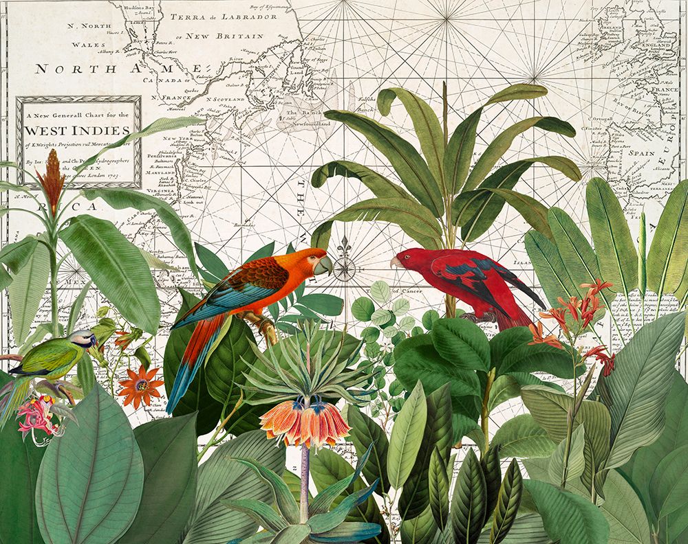 Exotic Wildlife 006 art print by Andrea Haase for $57.95 CAD