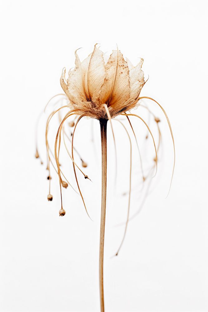 Tentacle Flower art print by Treechild for $57.95 CAD