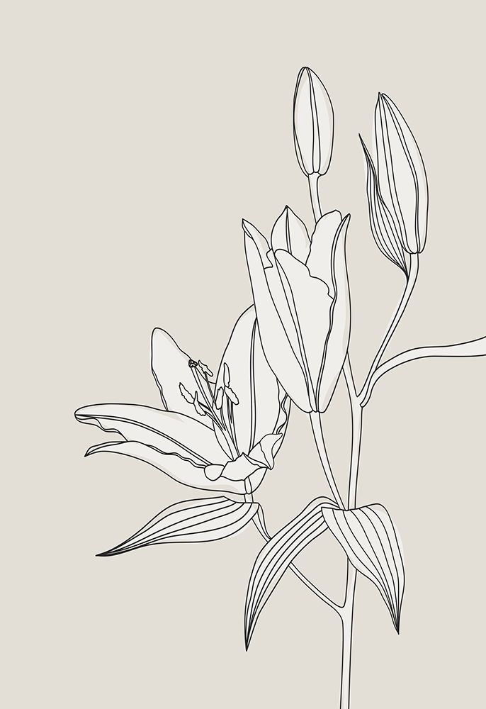 Line art lillies in beige art print by Rosana Laiz Blursbyai for $57.95 CAD