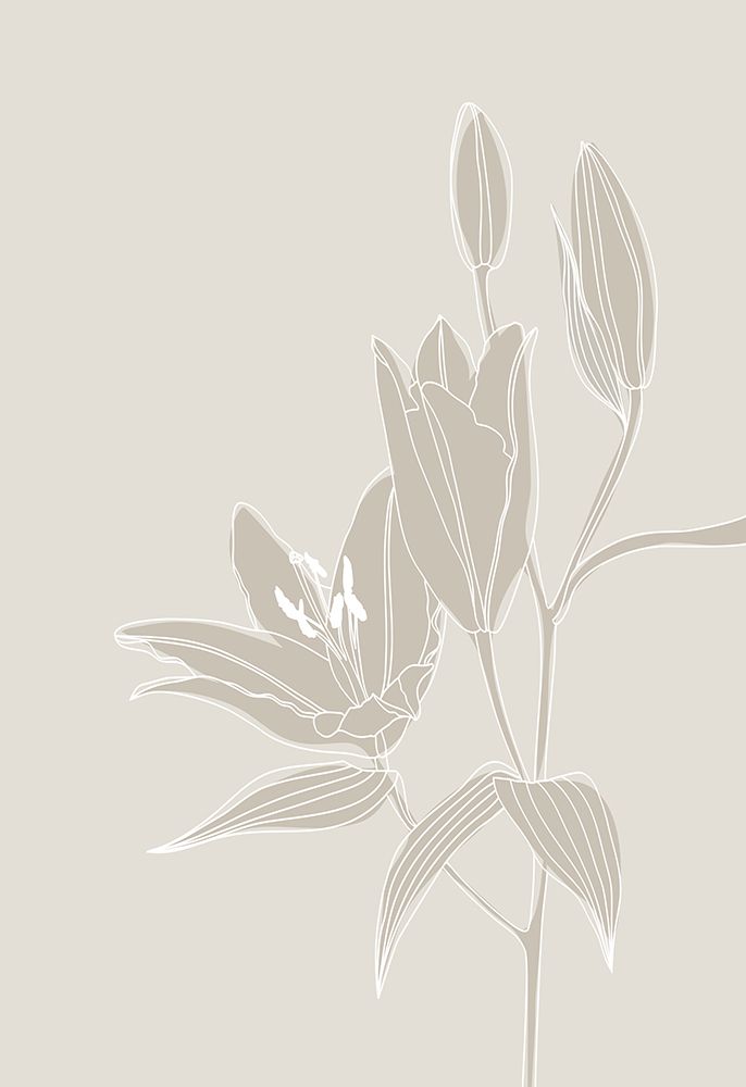 Line art lillies in white art print by Rosana Laiz Blursbyai for $57.95 CAD