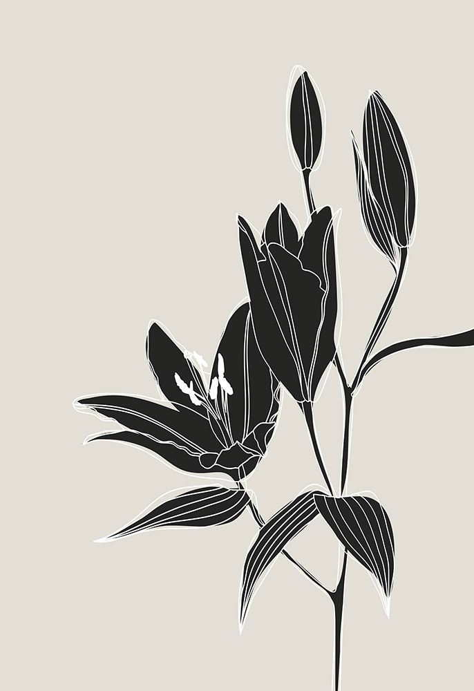 Line art lillies in black art print by Rosana Laiz Blursbyai for $57.95 CAD