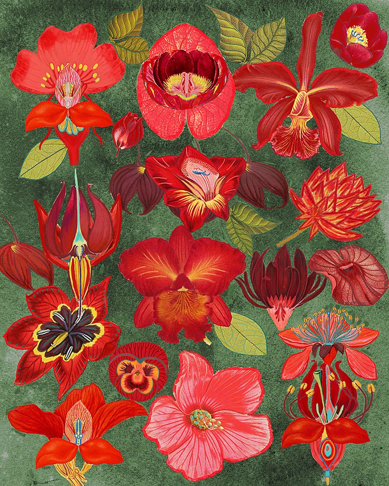 Final Eclectic Garden Copy 3.png art print by Giovanna Nicolo for $57.95 CAD