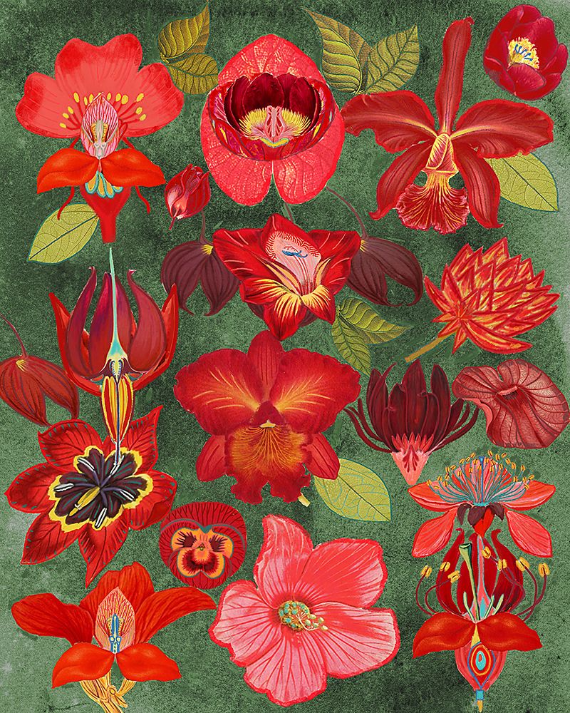 eclectic garden.png art print by Giovanna Nicolo for $57.95 CAD