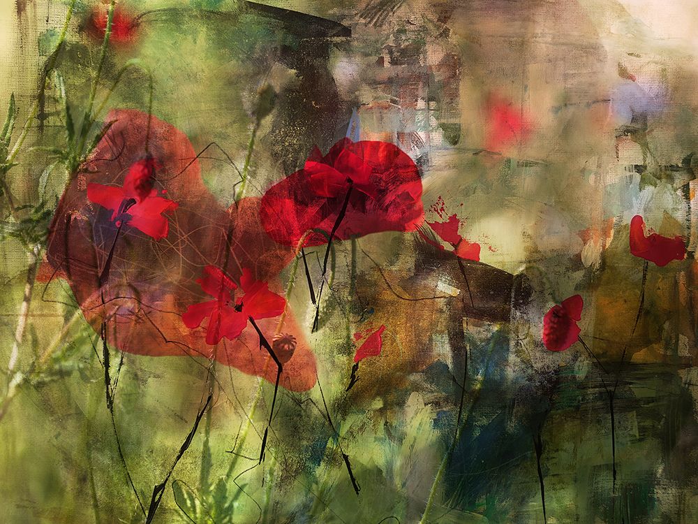 Poppies art print by Ellen van Deelen for $57.95 CAD