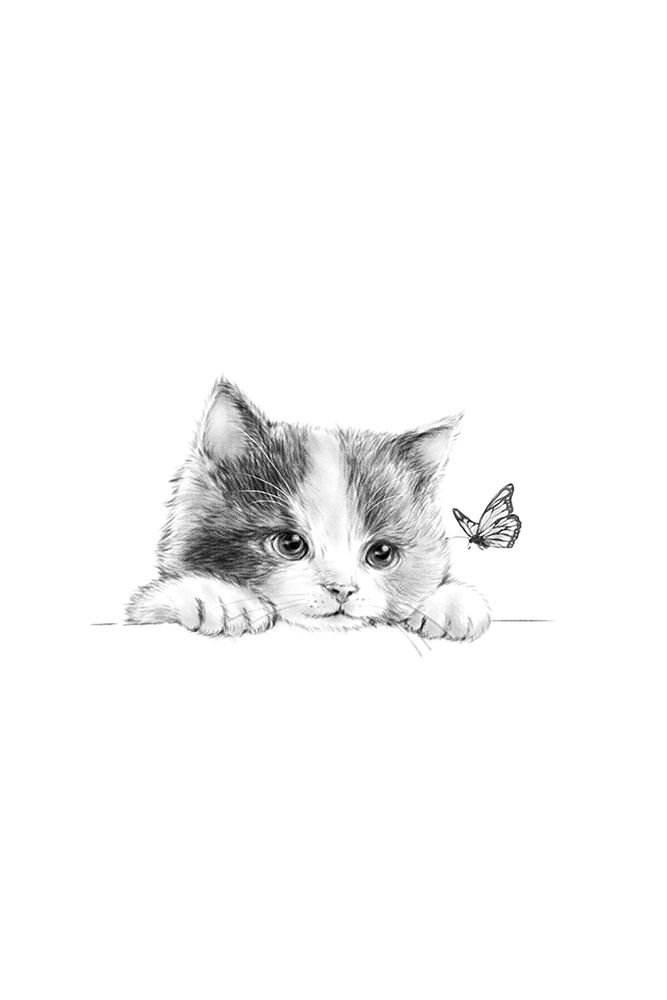 Black Cat Home art print by Xuan Thai for $57.95 CAD