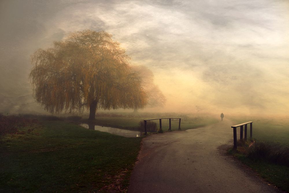 Some Mornings... art print by Robert Fabrowski for $57.95 CAD