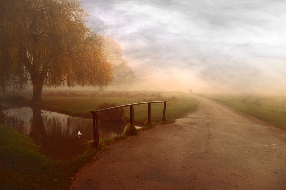 Some Mornings... art print by Robert Fabrowski for $57.95 CAD