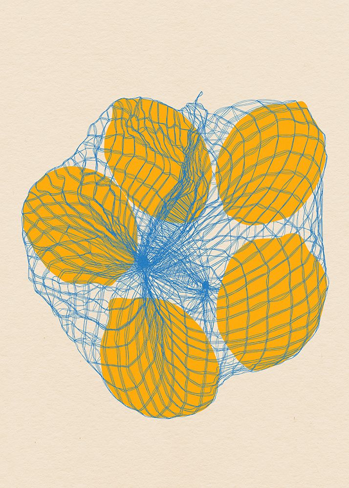 Five Lemons In a Net Bag art print by Rosi Feist for $57.95 CAD