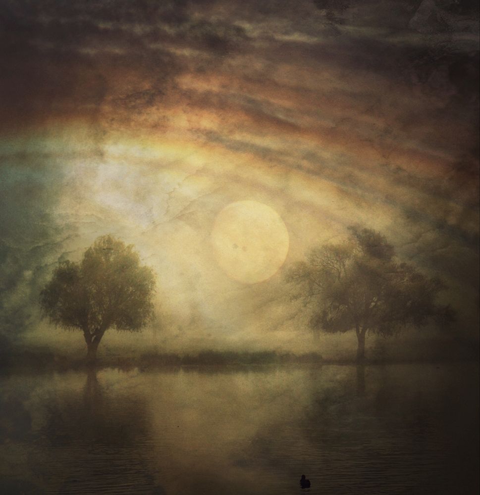 Some Nights... art print by Robert Fabrowski for $57.95 CAD