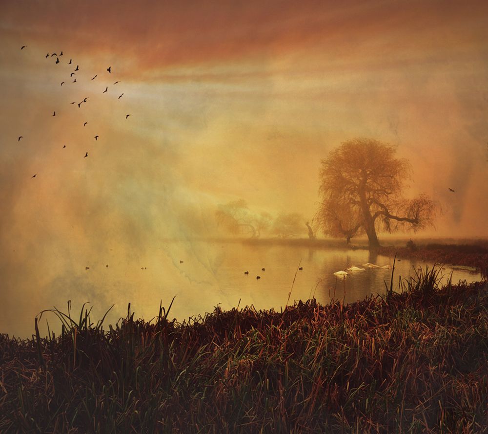 Some Mornings... art print by Robert Fabrowski for $57.95 CAD