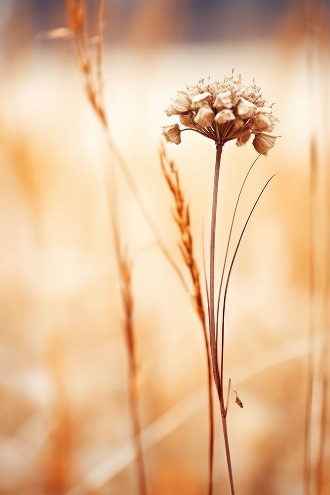 Septemberimpression Fullsize art print by Treechild for $57.95 CAD