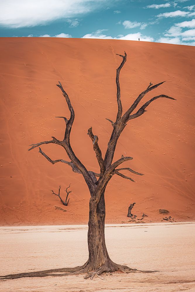 Riding The Top Of The Dune art print by Marco Tagliarino for $57.95 CAD