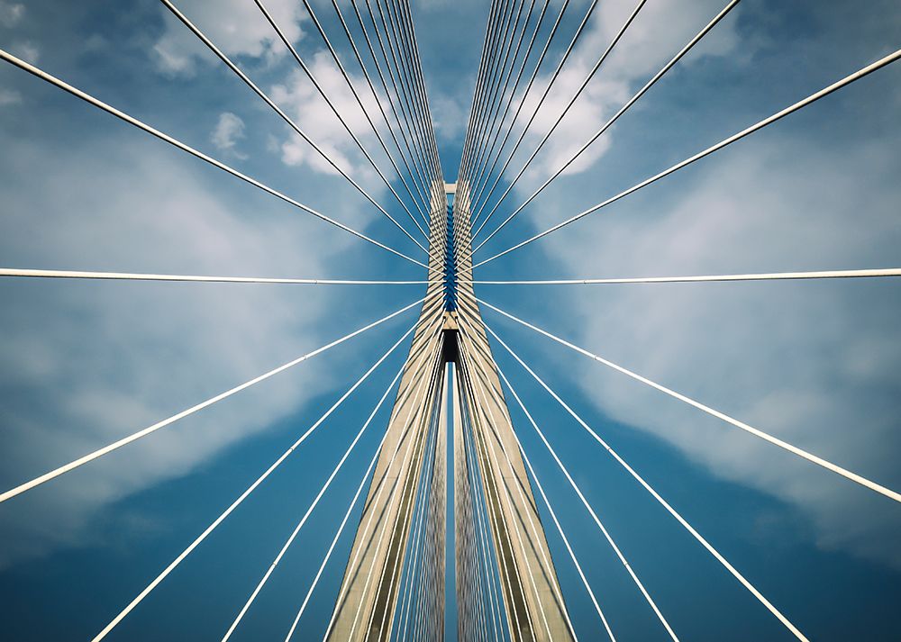 Spider art print by Nico T for $57.95 CAD