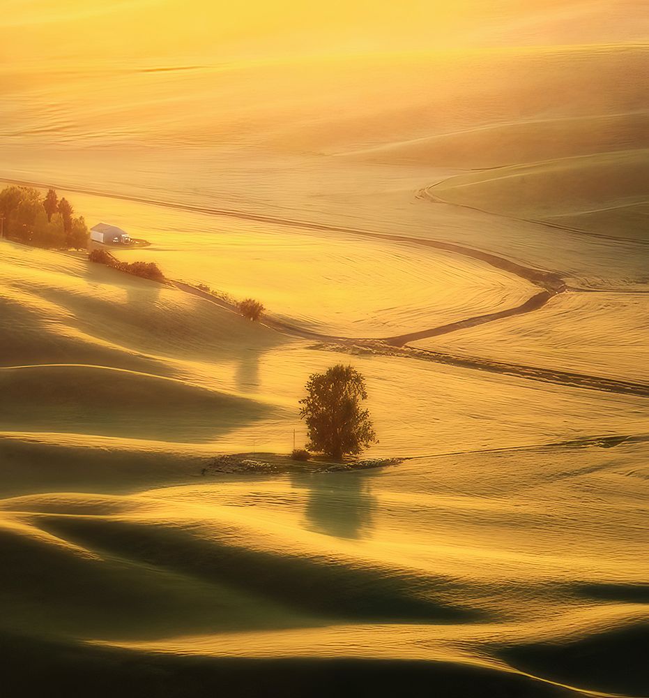 The View Of Palouse art print by NanZ for $57.95 CAD