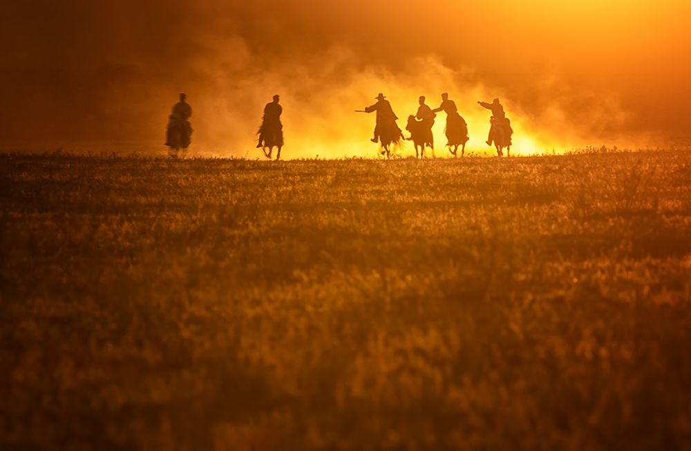 Grassland Sunset art print by AmandaLee for $57.95 CAD