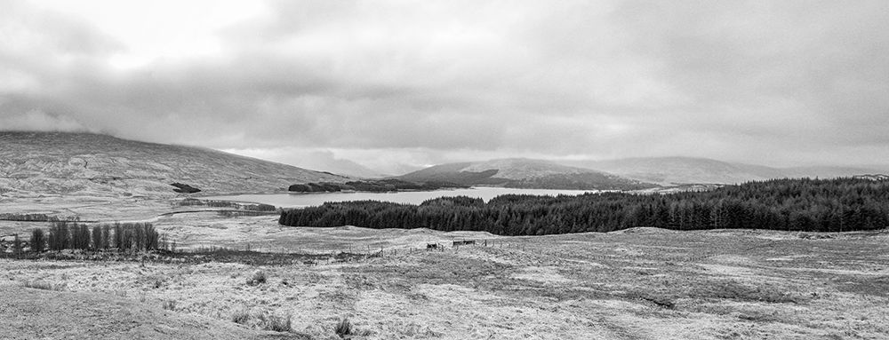 Panoramic View Of The Scottish Highlands art print by Dahlia Ambrose for $57.95 CAD