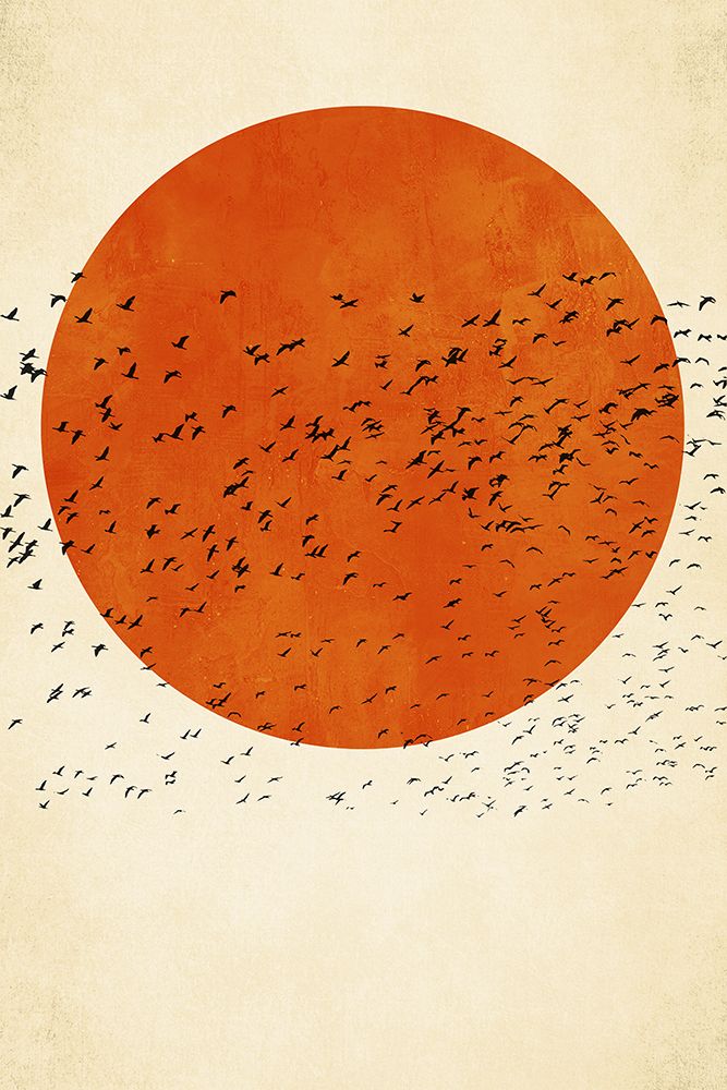 Birds In the Sun art print by Kubistika for $57.95 CAD