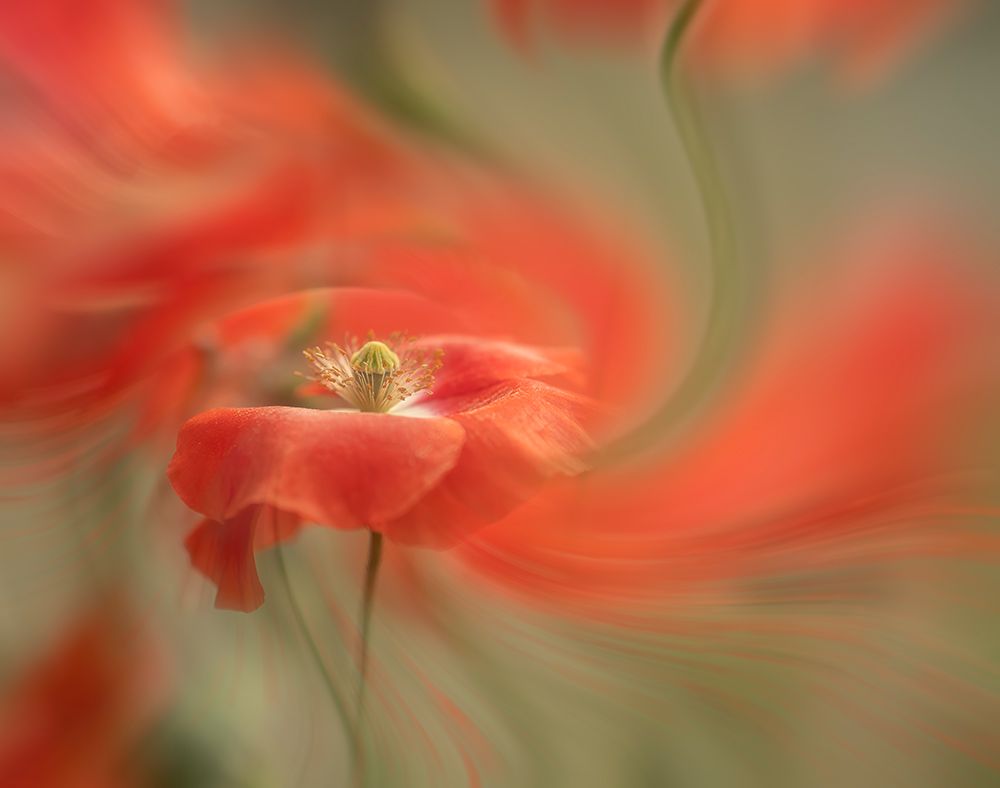 Ballerina art print by Judy Tseng for $57.95 CAD