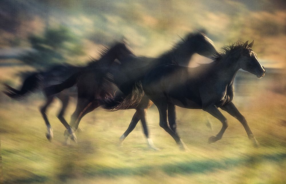 ...We Had Such A Long Way To Go... art print by Charlaine Gerber for $57.95 CAD