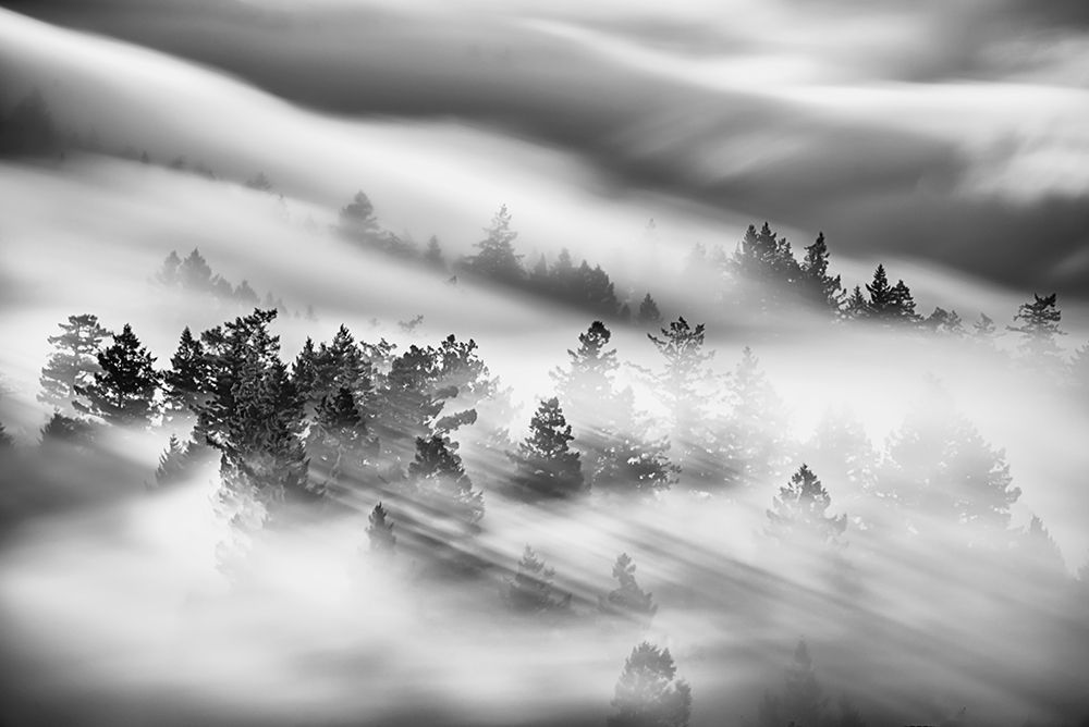 Untitled art print by Johnny Zhang for $57.95 CAD