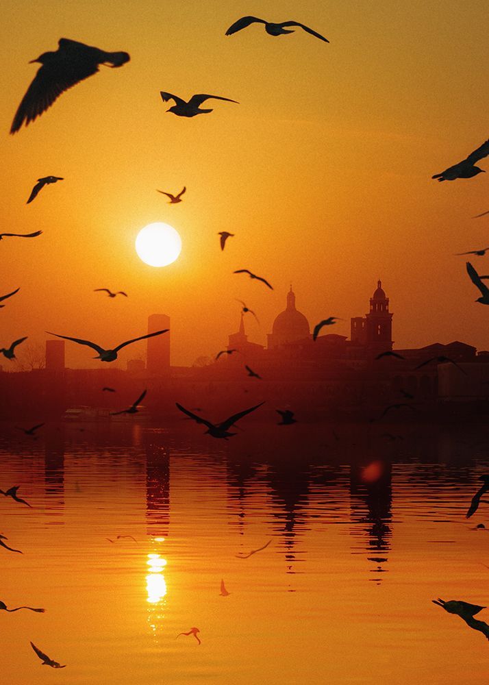 Sunset Birds Lake art print by Al Barizi for $57.95 CAD