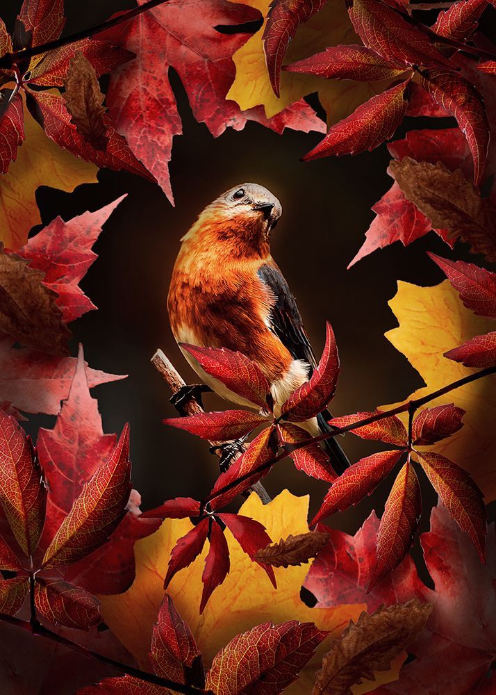 Bird Autumn art print by Al Barizi for $57.95 CAD