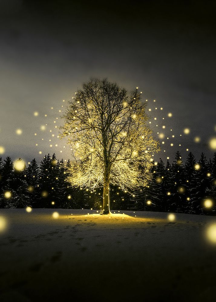 Tree Life art print by Al Barizi for $57.95 CAD