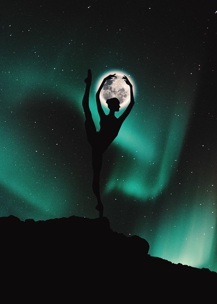 Silhouettes Ballet art print by Al Barizi for $57.95 CAD