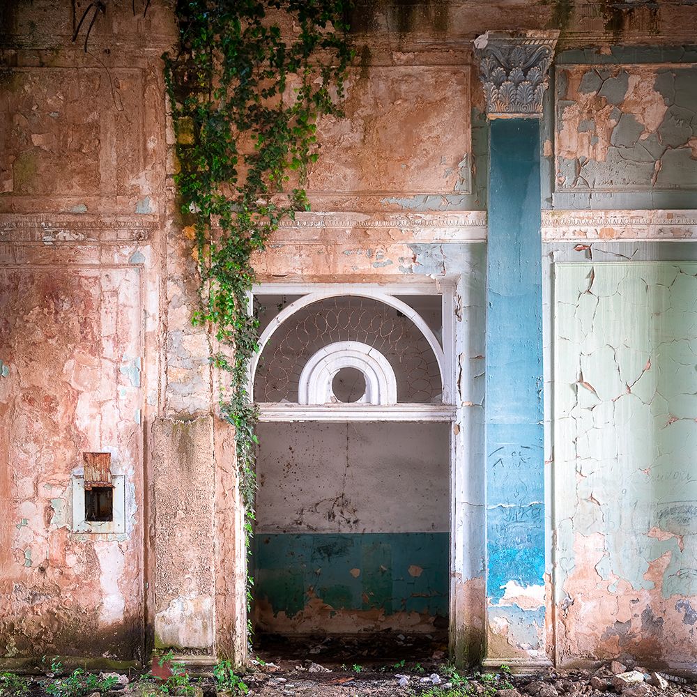 Overgrown Entrance art print by Roman Robroek for $57.95 CAD
