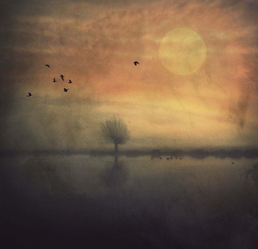 Some Nights... art print by Robert Fabrowski for $57.95 CAD