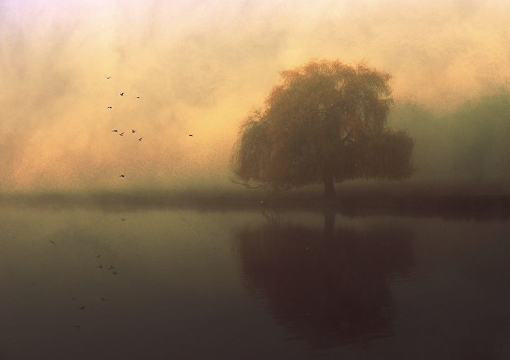 Some Mornings... art print by Robert Fabrowski for $57.95 CAD
