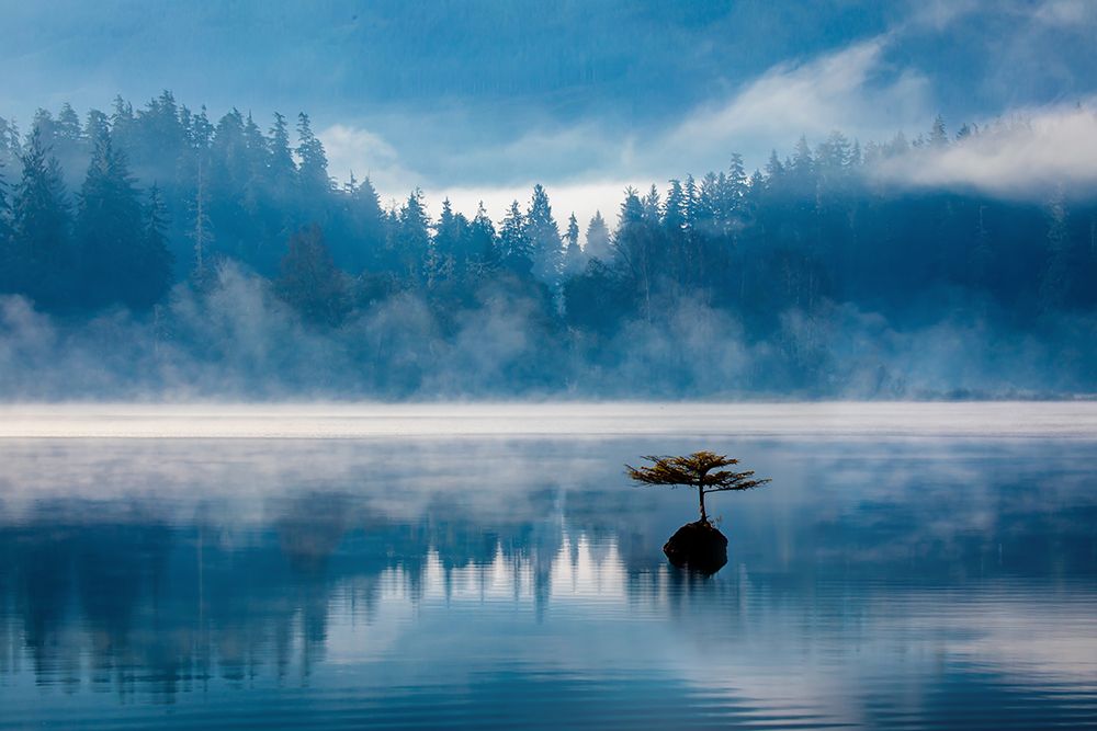 Misty Morning art print by Li Ying for $57.95 CAD