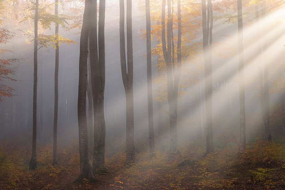 Light Around The Corner art print by Alexandru Ionut Coman for $57.95 CAD