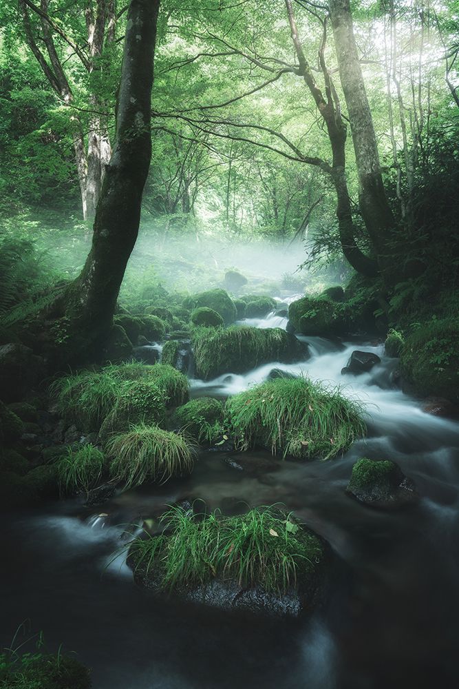 Flow art print by Motoki Sumita for $57.95 CAD