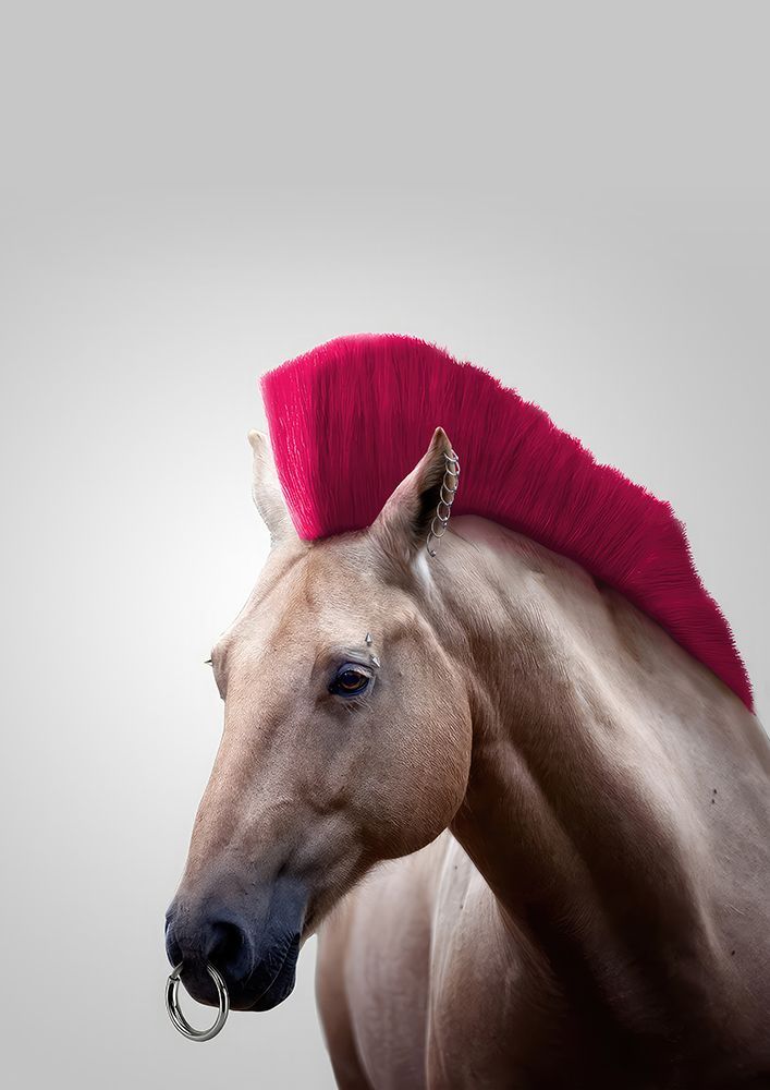 Wild Horse art print by Artem Pozdniakov for $57.95 CAD