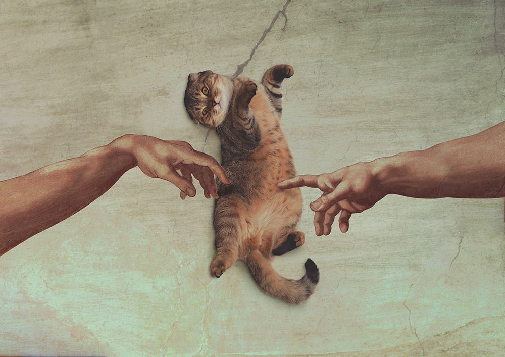 Touch of the Kitty art print by Artem Pozdniakov for $57.95 CAD