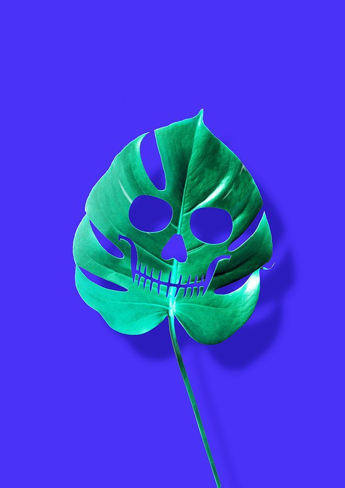 Monstera art print by Artem Pozdniakov for $57.95 CAD