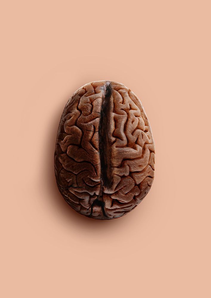 Brain Bean art print by Artem Pozdniakov for $57.95 CAD