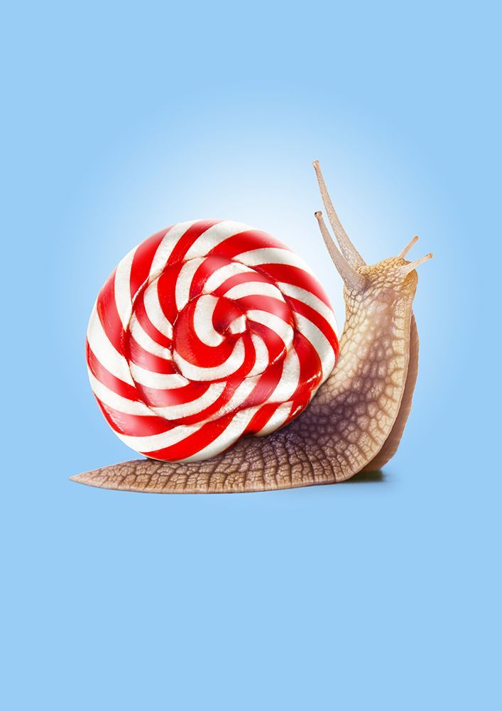 Snail Candy art print by Artem Pozdniakov for $57.95 CAD