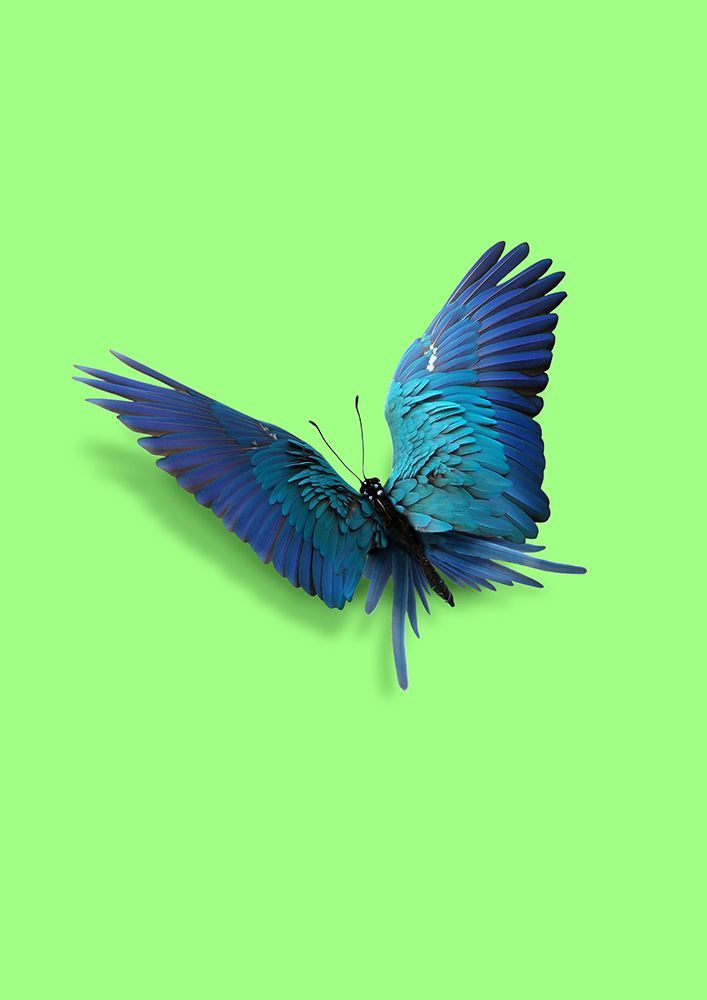 Parrot Butterfly art print by Artem Pozdniakov for $57.95 CAD