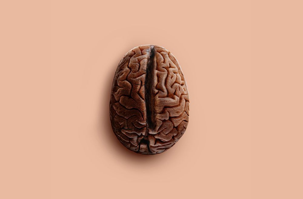Brain Bean art print by Artem Pozdniakov for $57.95 CAD