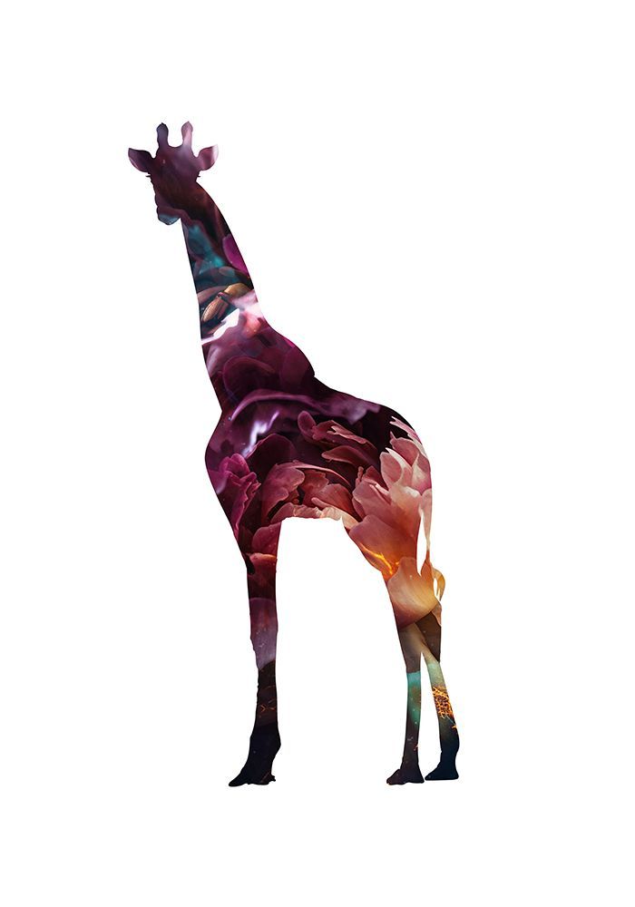 Flower Giraffe art print by Sarah Manovski for $57.95 CAD
