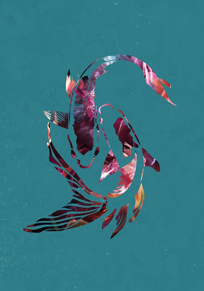 Pink Koi Fish art print by Sarah Manovski for $57.95 CAD