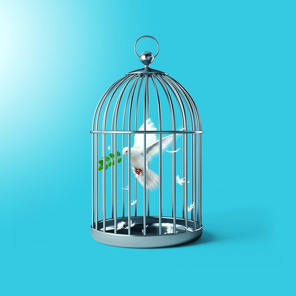 Free the Peace art print by Artem Pozdniakov for $57.95 CAD