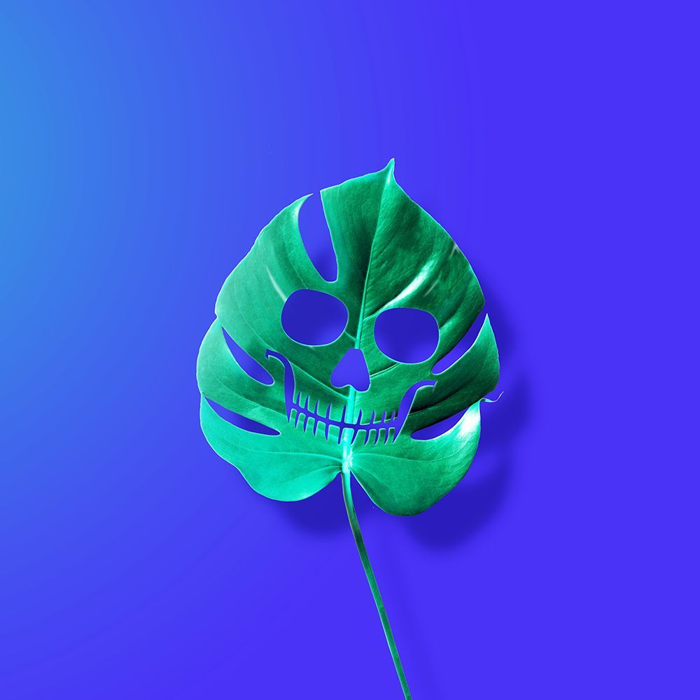 Monstera art print by Artem Pozdniakov for $57.95 CAD