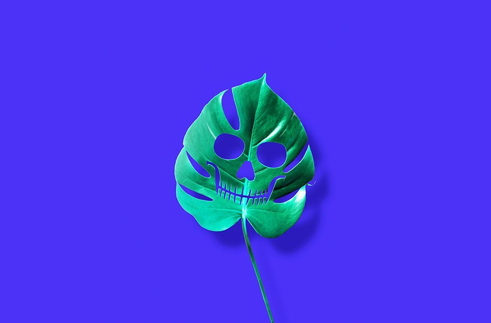 Monstera art print by Artem Pozdniakov for $57.95 CAD