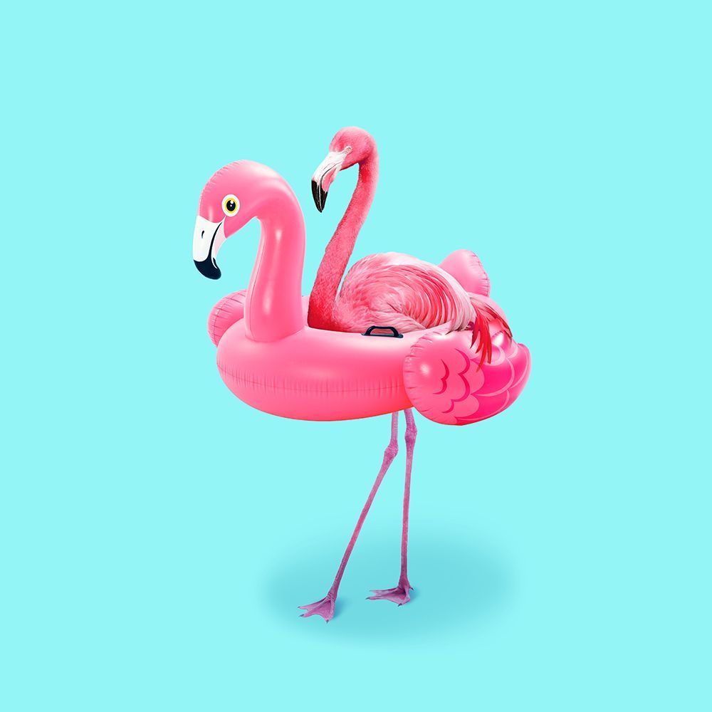 Flamingo on Resort art print by Artem Pozdniakov for $57.95 CAD
