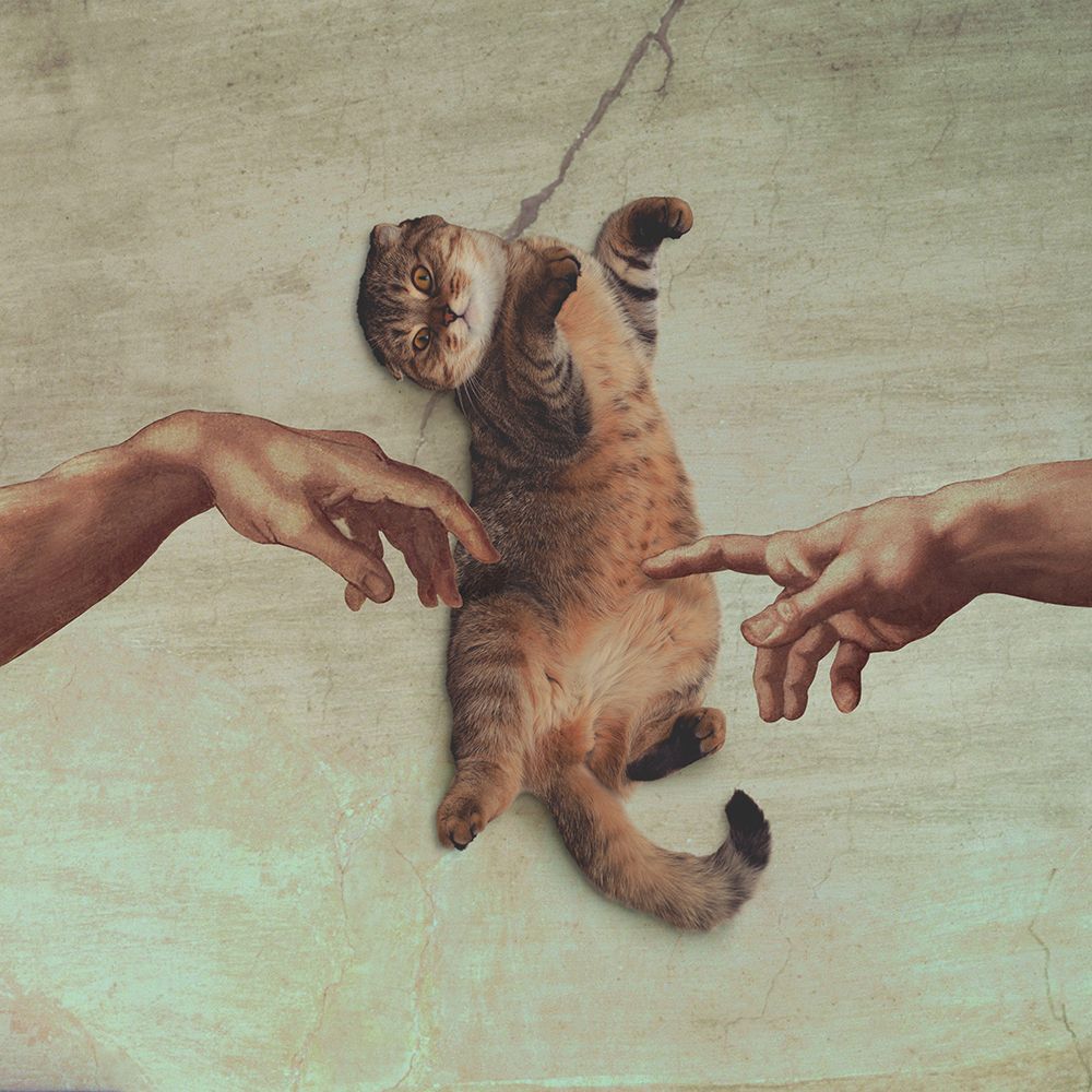 Touch of the Kitty art print by Artem Pozdniakov for $57.95 CAD