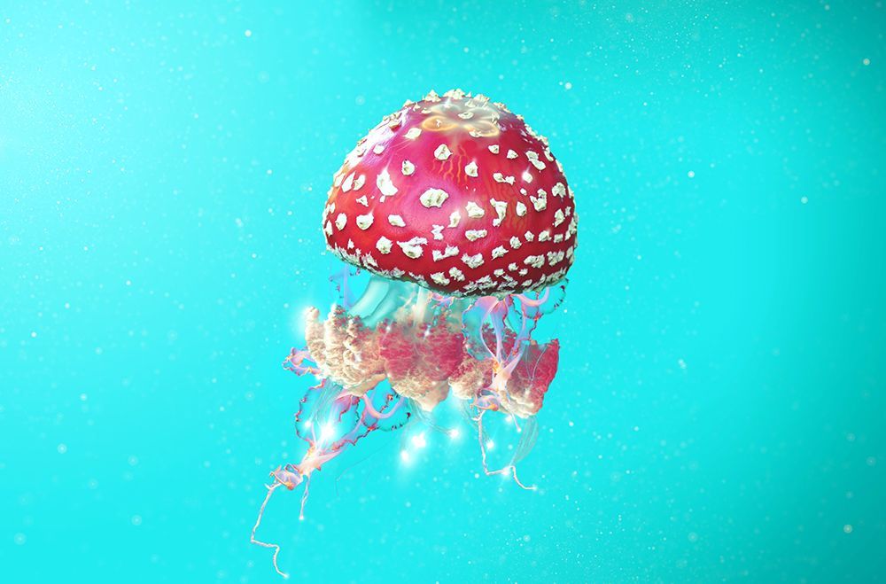 Hallucination art print by Artem Pozdniakov for $57.95 CAD